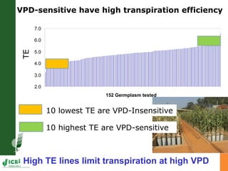 Developing crops with high productivity at high temperature