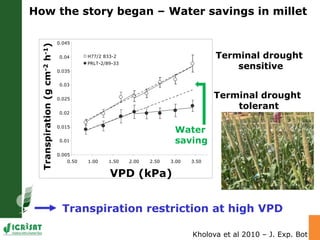 Developing crops with high productivity at high temperature