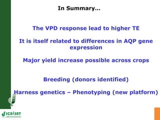 Developing crops with high productivity at high temperature