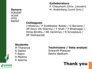 Developing crops with high productivity at high temperature