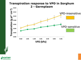 Adaptation of SAT crops to water limitation and climate change