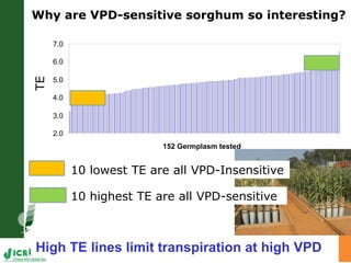 Adaptation of SAT crops to water limitation and climate change