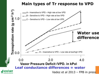 Adaptation of SAT crops to water limitation and climate change