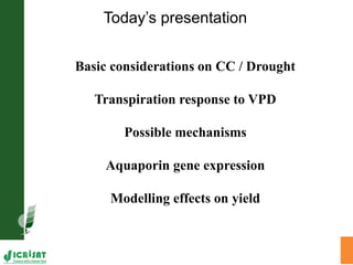 Adaptation of SAT crops to water limitation and climate change