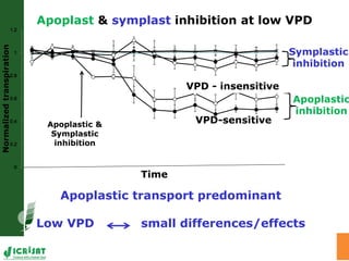 Adaptation of SAT crops to water limitation and climate change