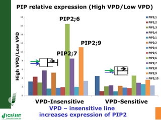 Adaptation of SAT crops to water limitation and climate change