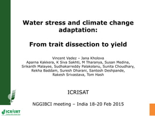 Water stress and climate change
adaptation:
From trait dissection to yield
Vincent Vadez – Jana Kholova
Aparna Kakkera, K Siva Sakhti, M Tharanya, Susan Medina,
Srikanth Malayee, Sudhakarreddy Palakolanu, Sunita Choudhary,
Rekha Baddam, Suresh Dharani, Santosh Deshpande,
Rakesh Srivastava, Tom Hash
ICRISAT
NGGIBCI meeting – India 18-20 Feb 2015
 