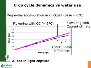 Water stress and climate change adaptation: From trait dissection to yield