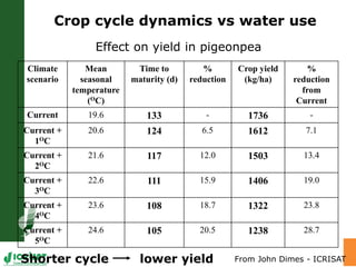 Water stress and climate change adaptation: From trait dissection to yield