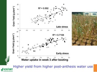 Water stress and climate change adaptation: From trait dissection to yield