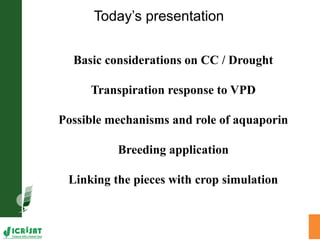 Water stress and climate change adaptation: From trait dissection to yield