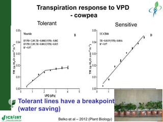 Water stress and climate change adaptation: From trait dissection to yield
