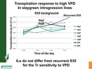 Water stress and climate change adaptation: From trait dissection to yield