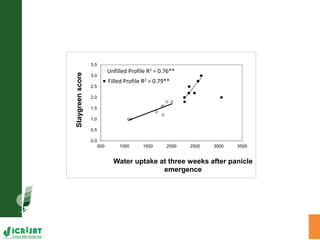 Water stress and climate change adaptation: From trait dissection to yield