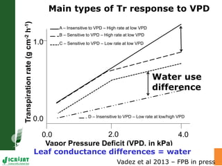 Water stress and climate change adaptation: From trait dissection to yield