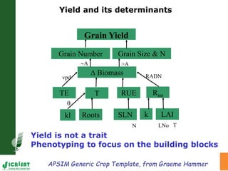 Water stress and climate change adaptation: From trait dissection to yield