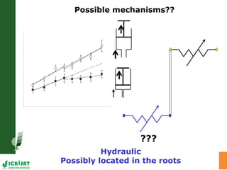 Water stress and climate change adaptation: From trait dissection to yield