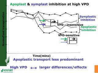 Water stress and climate change adaptation: From trait dissection to yield