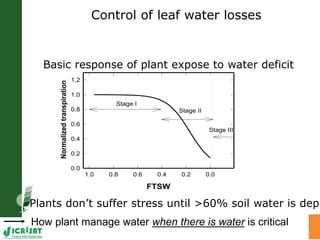 Water stress and climate change adaptation: From trait dissection to yield