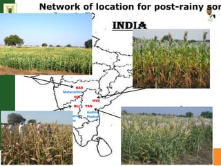 Water stress and climate change adaptation: From trait dissection to yield
