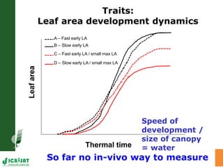Water stress and climate change adaptation: From trait dissection to yield