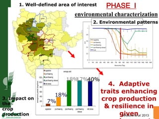 Water stress and climate change adaptation: From trait dissection to yield
