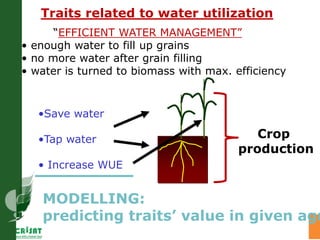 Water stress and climate change adaptation: From trait dissection to yield