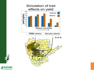 Water stress and climate change adaptation: From trait dissection to yield