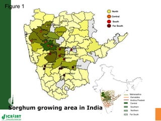 Water stress and climate change adaptation: From trait dissection to yield