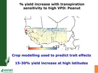 Water stress and climate change adaptation: From trait dissection to yield