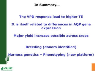Water stress and climate change adaptation: From trait dissection to yield