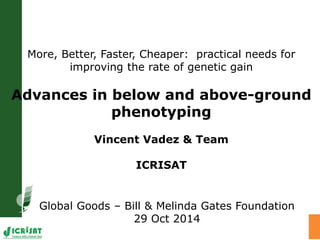 Water stress and climate change adaptation: From trait dissection to yield