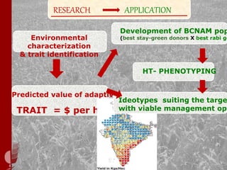 Water stress and climate change adaptation: From trait dissection to yield