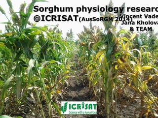 Water stress and climate change adaptation: From trait dissection to yield