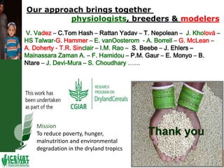Water stress and climate change adaptation: From trait dissection to yield