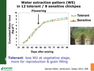 Trait phenotyping: About asking the right questions to harness phenomics' progress 