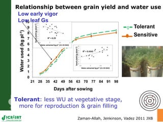 Trait phenotyping: About asking the right questions to harness phenomics' progress 