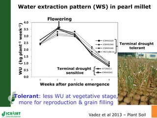 Trait phenotyping: About asking the right questions to harness phenomics' progress 