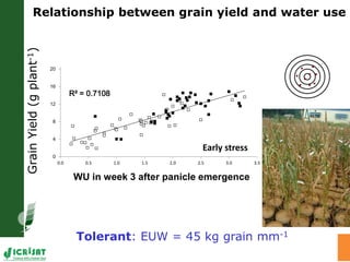 Trait phenotyping: About asking the right questions to harness phenomics' progress 