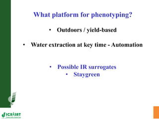 Trait phenotyping: About asking the right questions to harness phenomics' progress 