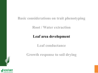 Trait phenotyping: About asking the right questions to harness phenomics' progress 