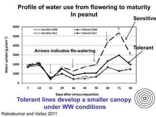 Trait phenotyping: About asking the right questions to harness phenomics' progress 