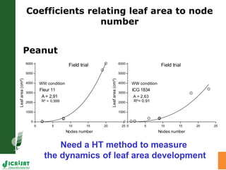 Trait phenotyping: About asking the right questions to harness phenomics' progress 