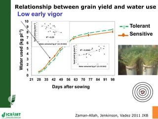 Trait phenotyping: About asking the right questions to harness phenomics' progress 