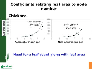 Trait phenotyping: About asking the right questions to harness phenomics' progress 