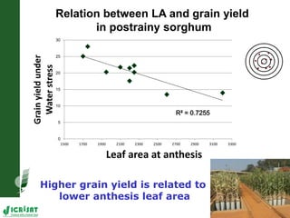 Trait phenotyping: About asking the right questions to harness phenomics' progress 