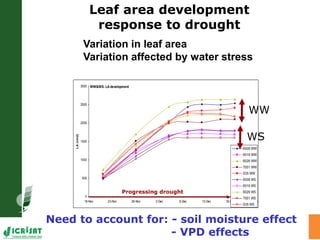 Trait phenotyping: About asking the right questions to harness phenomics' progress 