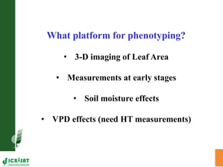 Trait phenotyping: About asking the right questions to harness phenomics' progress 