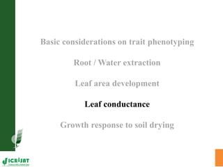 Trait phenotyping: About asking the right questions to harness phenomics' progress 