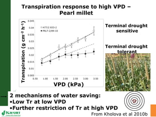 Trait phenotyping: About asking the right questions to harness phenomics' progress 